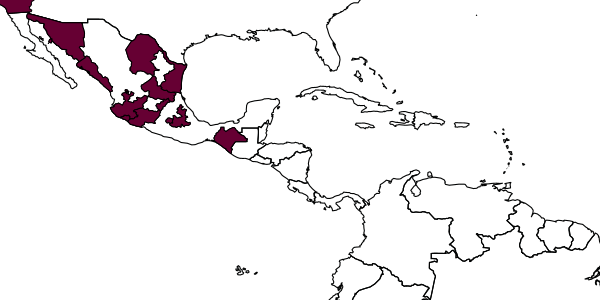 map of Eretmocerus longiterebrus     Rose, 2000